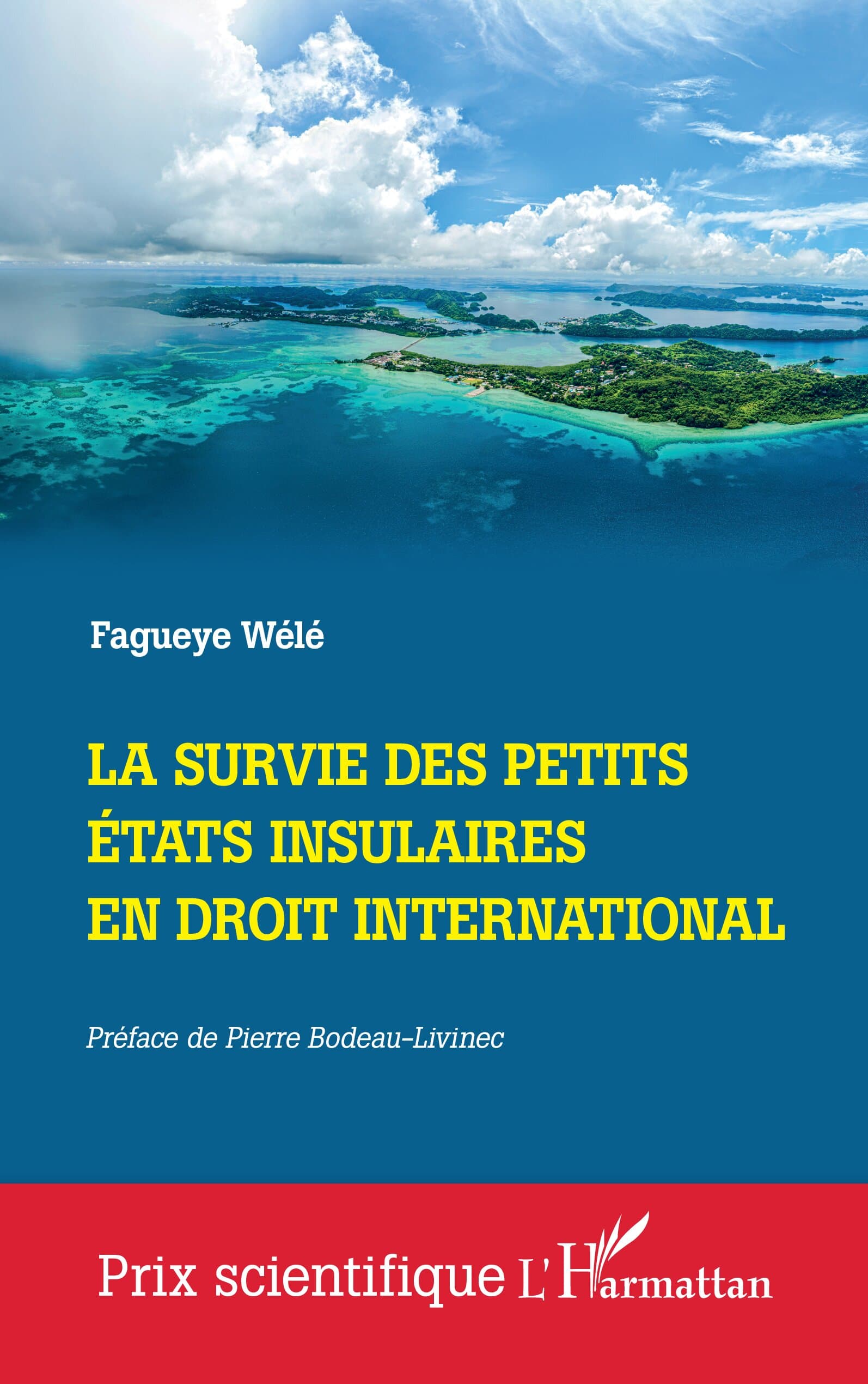 Couverture de l'ouvrage La Survie des Petits États Insulaires en Droit International